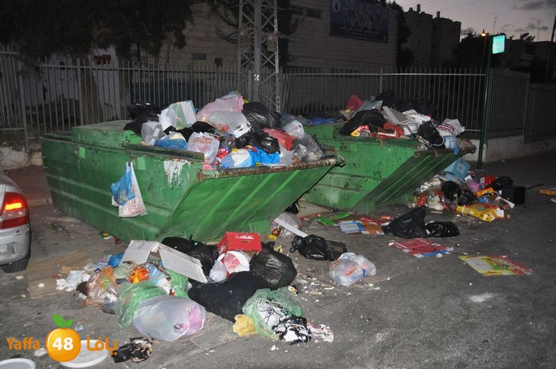 trash lud 907 (7).JPG